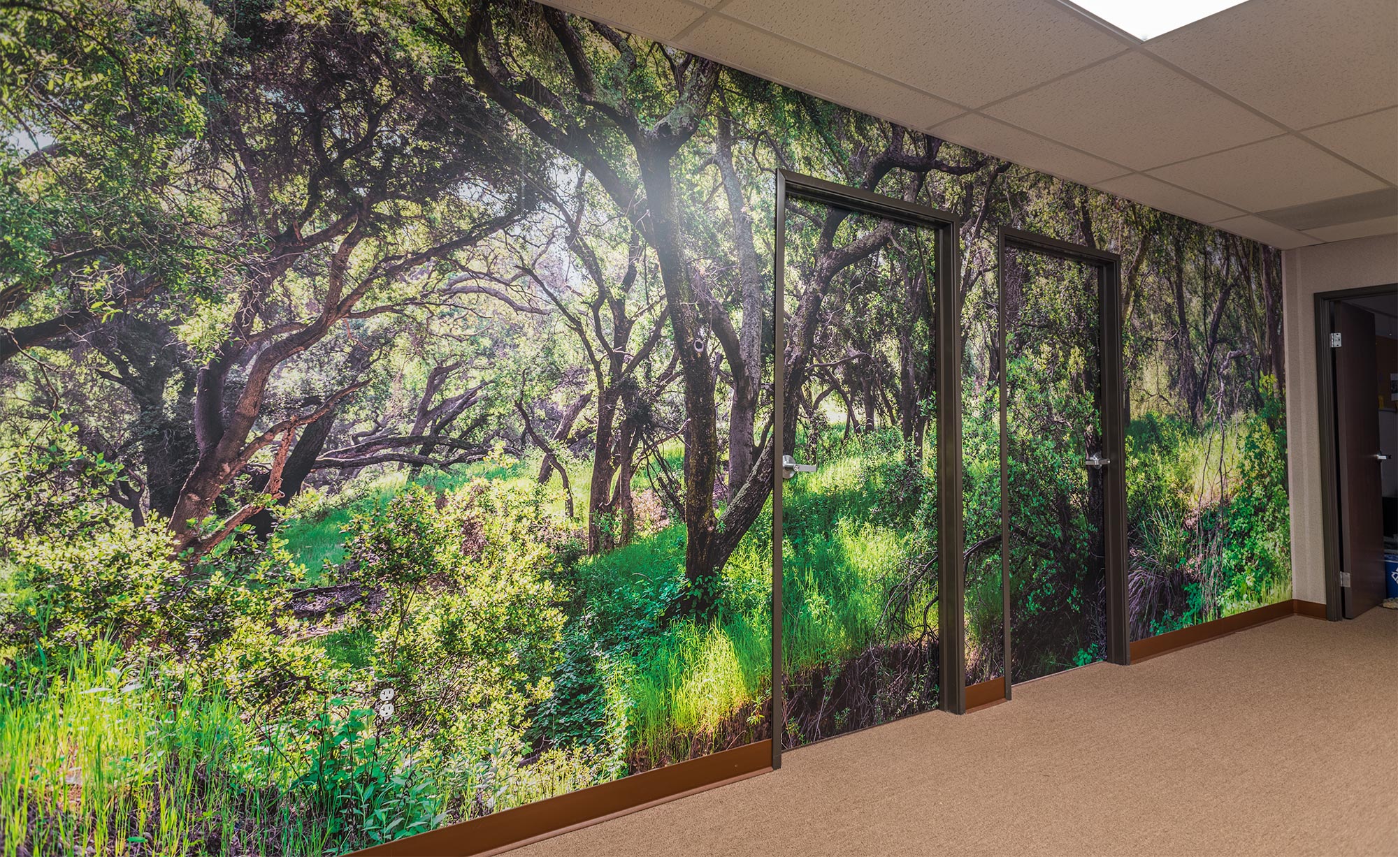 photography_mural